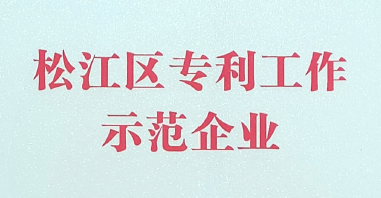 涌鎮獲得【2020年松江區專利示范企業】